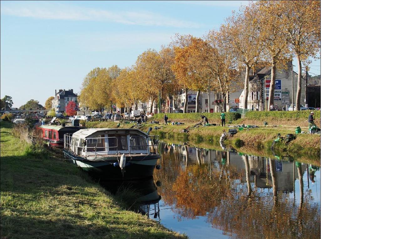 Spacieux T3 Lumineux Dans Quartier Historique Avec Wifi 雷东 外观 照片
